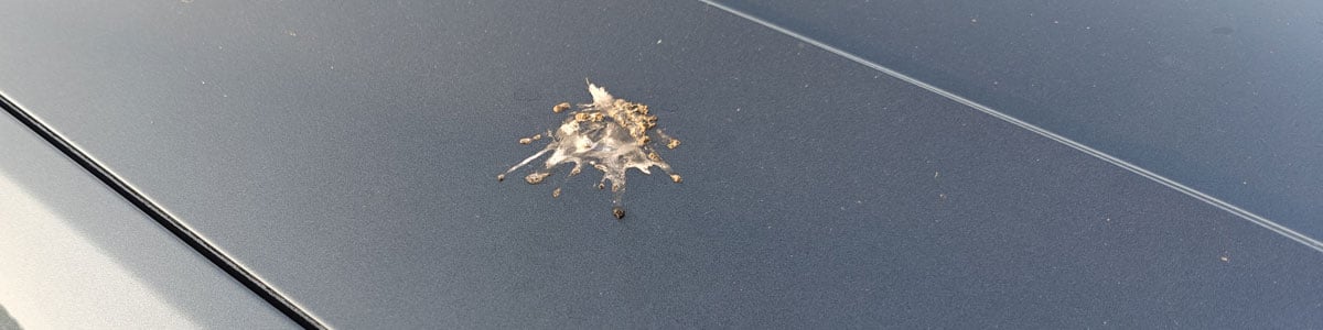 vogelpoep verwijderen van autolak