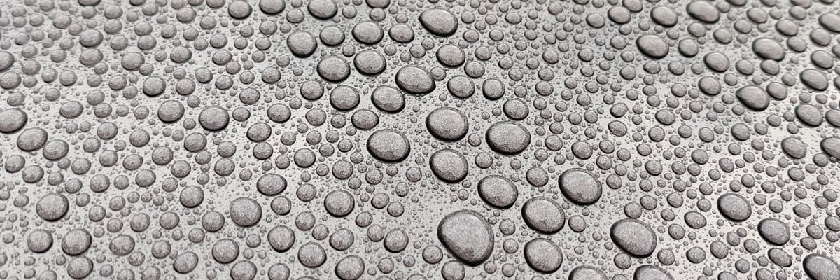 wax vs sealant bescherming