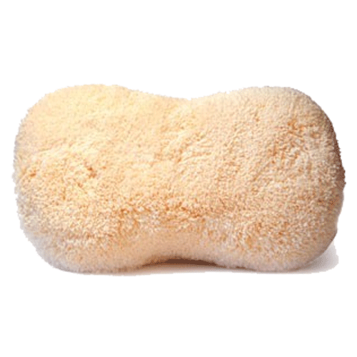 D-CON The Bone Wash Sponge