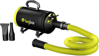 Bigboi BlowR Mini - Car Blower