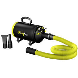 Bigboi BlowR Mini - Car Blower