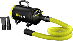 Bigboi BlowR Mini - Car Blower