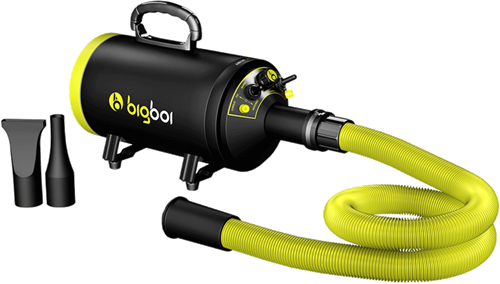 Bigboi BlowR Mini - Car Blower