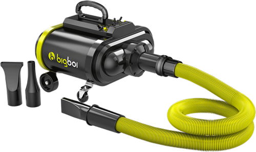 Bigboi BlowR Pro - Car Blower