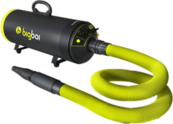 BigBoi BlowR Mini Plus - Twin Motor Car Blower