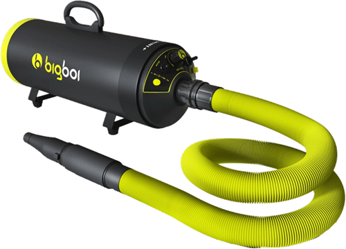 BigBoi BlowR Mini Plus - Twin Motor Car Blower