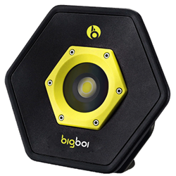 Bigboi IllumR Flood Light