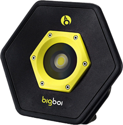 Bigboi IllumR Flood Light
