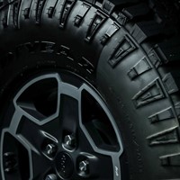 CarPro DarkSide Tyre & Rubber Sealant - 500ml-3