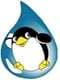 Pingi